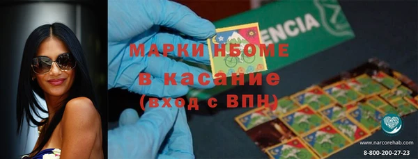 индика Балахна