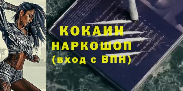 индика Балахна
