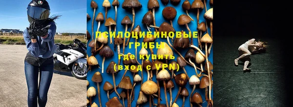 мяу мяу мука Рославль