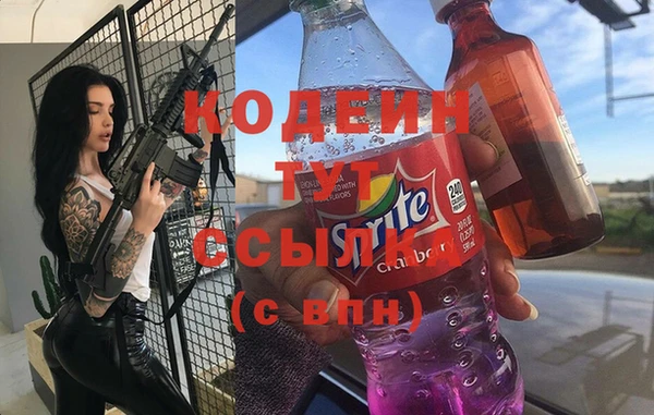 индика Балахна